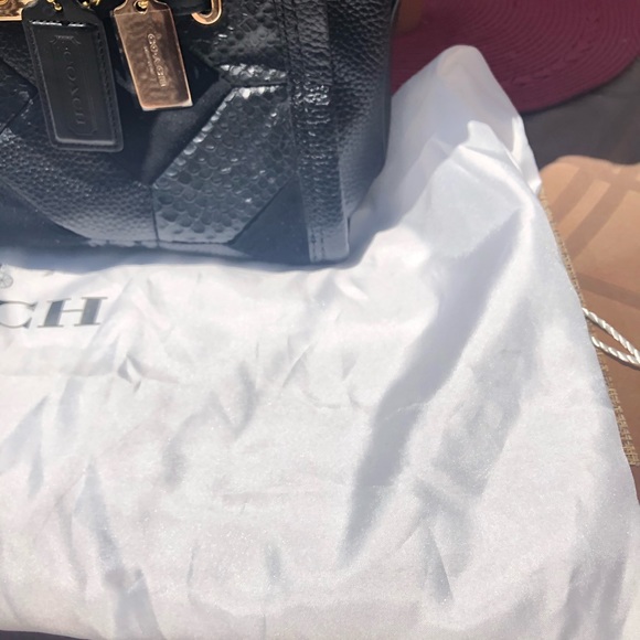 Coach Swagger - Picture 4 of 7